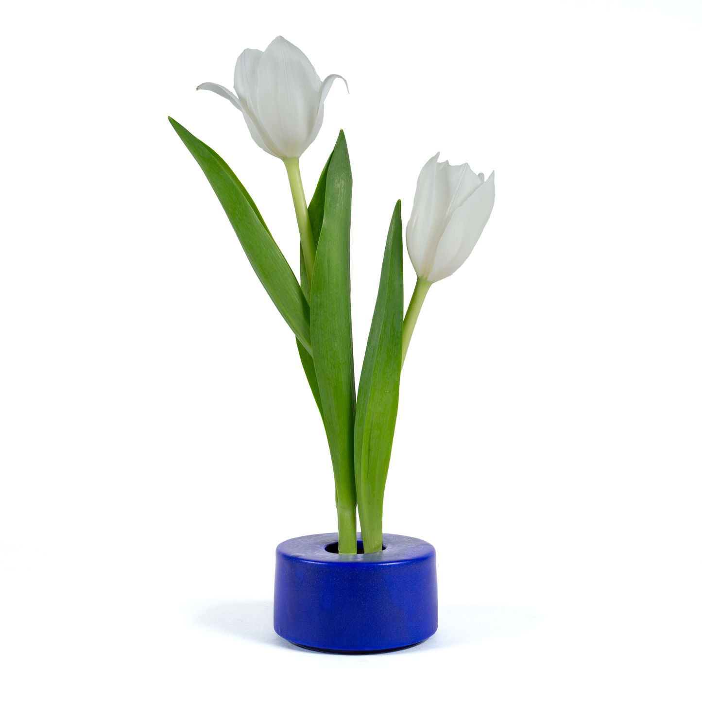 Small Cobalt Blue Ikebana Vase